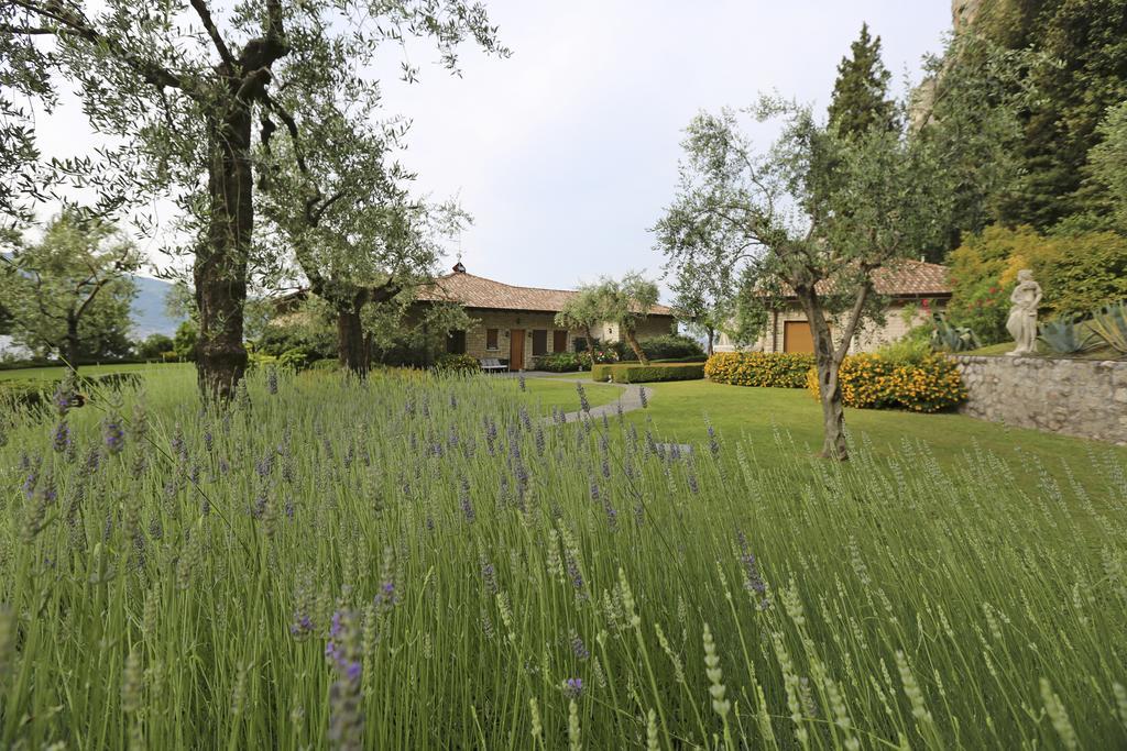 ティニャーレ Torre Degli Ulivi Bed & Breakfast エクステリア 写真